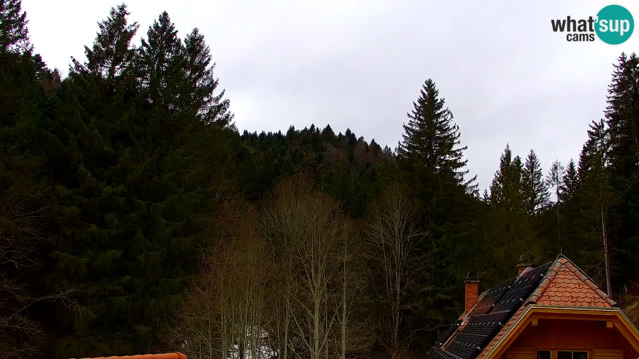 Webcam Lukanja – Water Village | Pohorje Houses