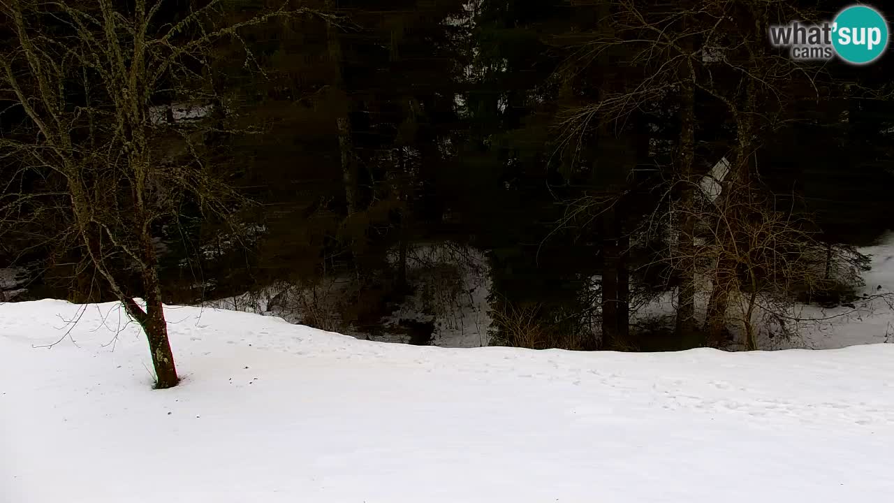 Webcam Lukanja – Pohorje houses a Water village