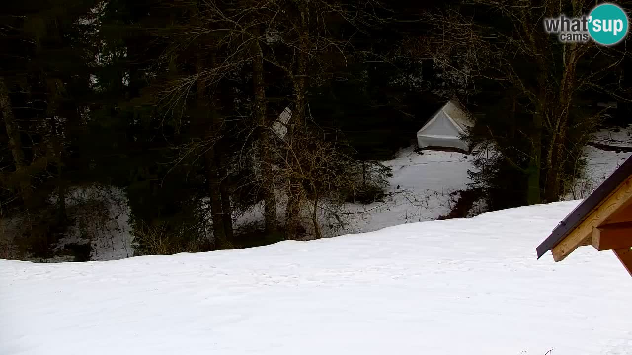 Webcam Lukanja – Pohorje houses a Water village