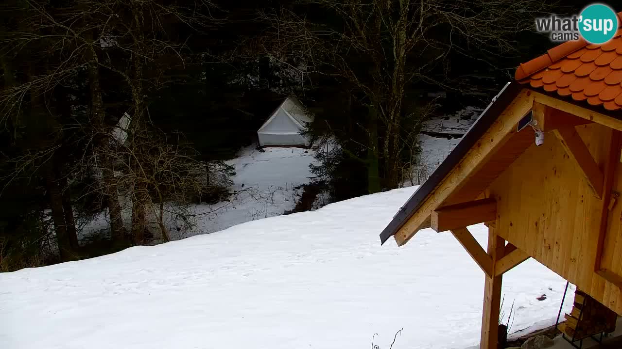 Web kamera Lukanja – Water Village | Pohorje Houses