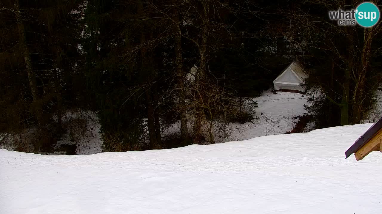 Webcam Lukanja – Water Village | Pohorje Houses