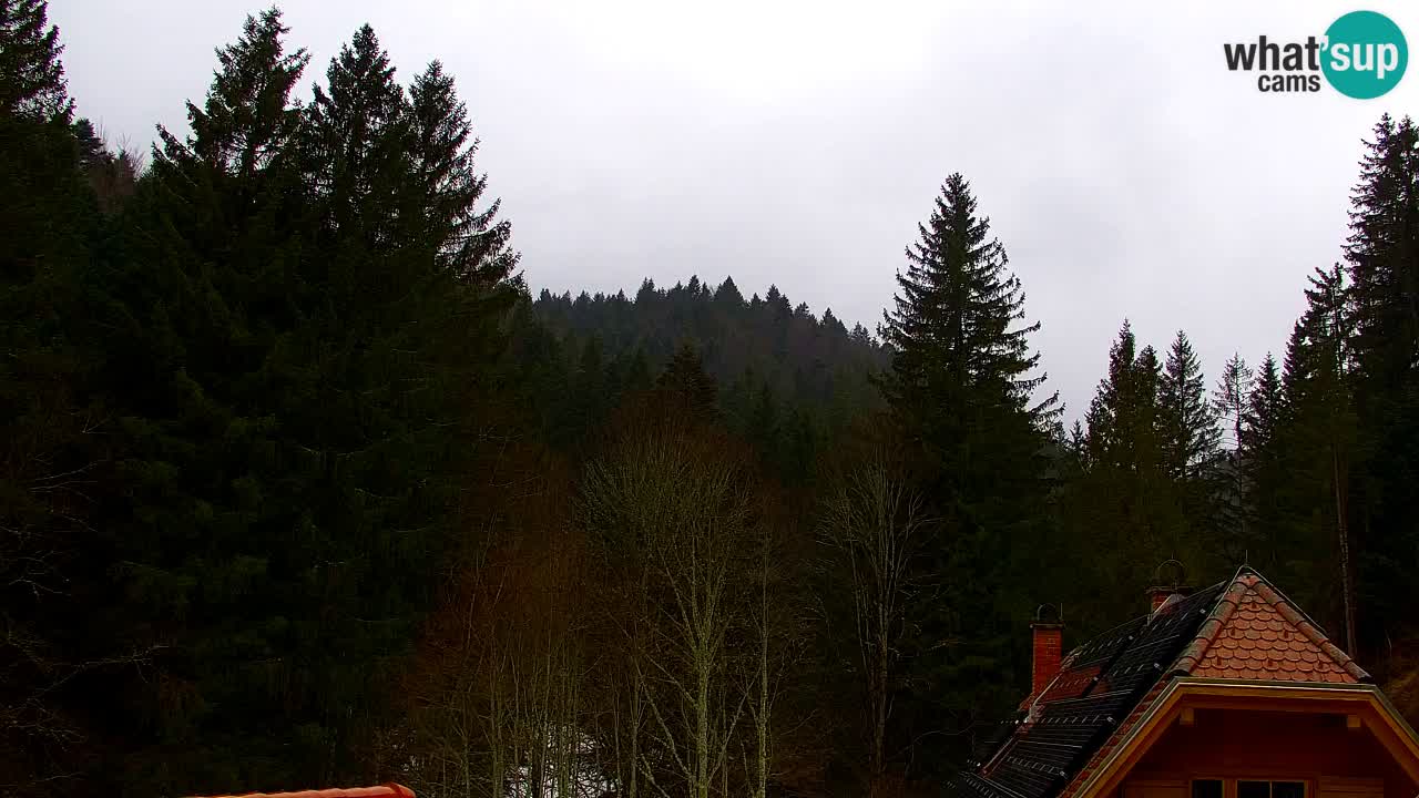 Webcam Lukanja – Pohorje houses a Water village