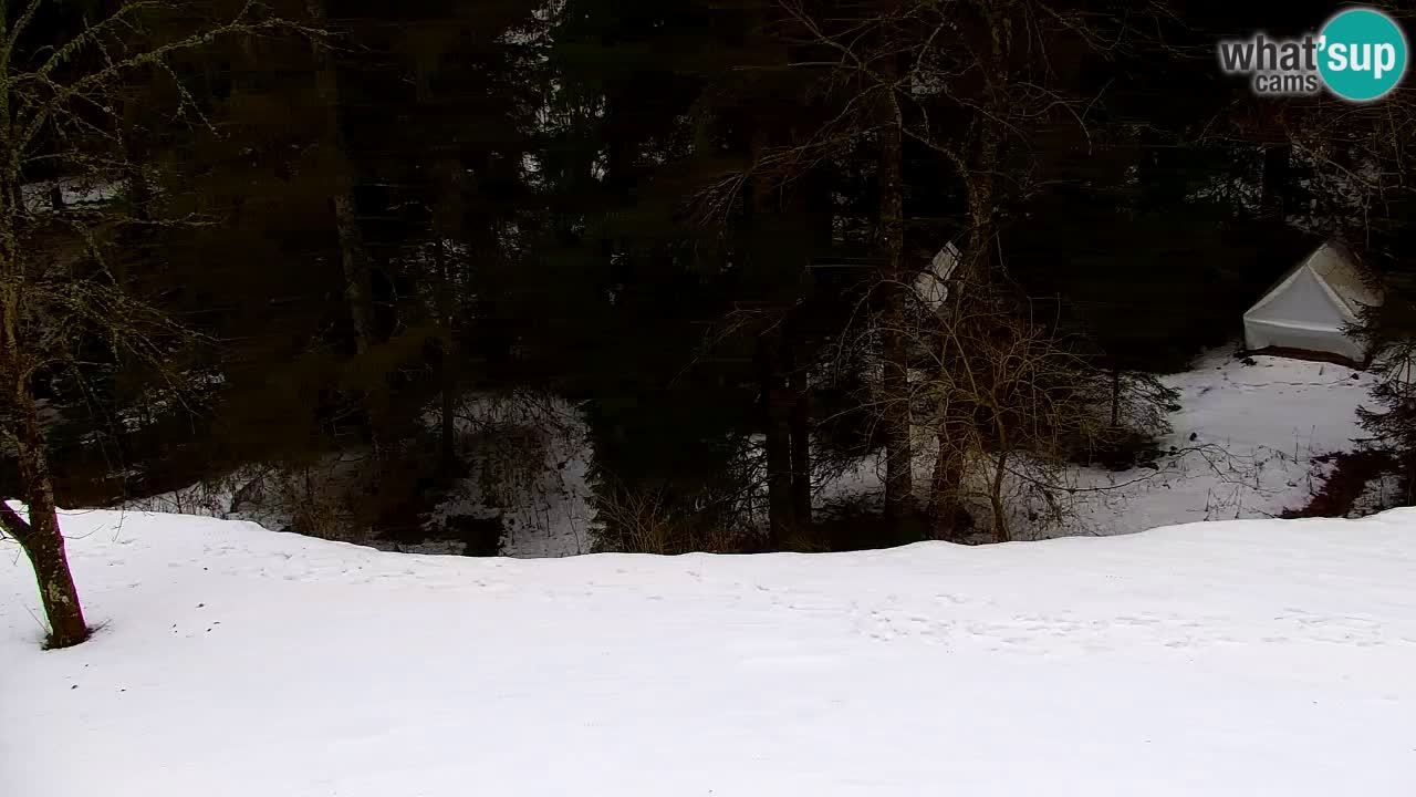 Webcam Lukanja – Pohorje houses a Water village