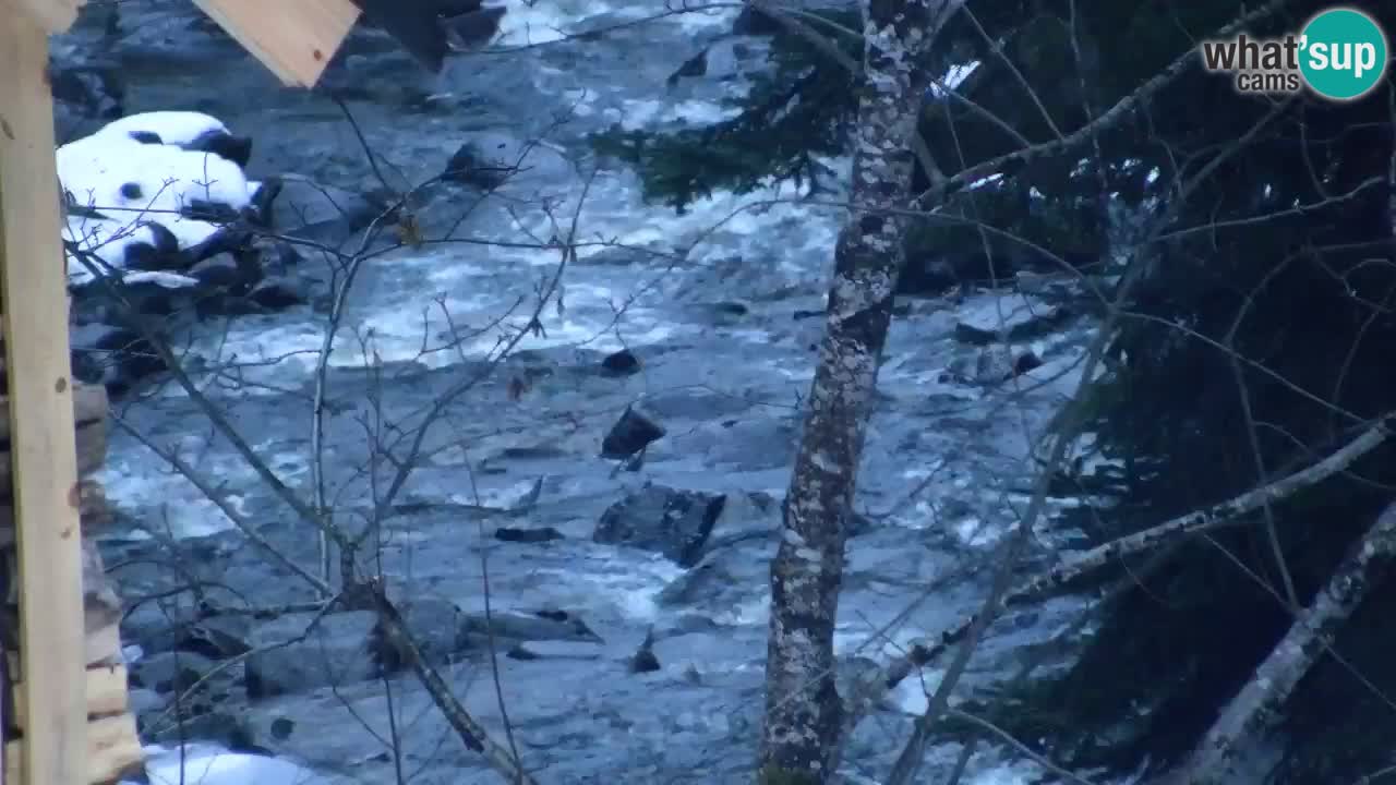 Spletna kamera Lukanja – Water Village | Pohorje Houses