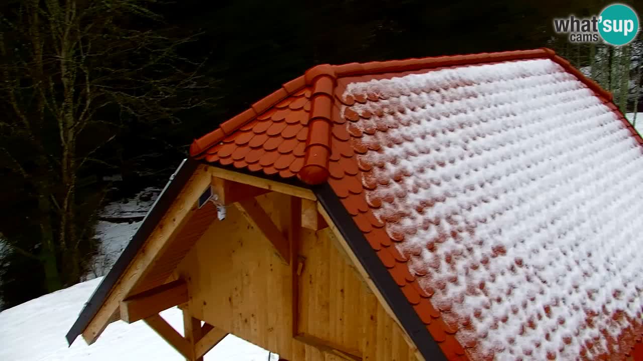 Webcam Lukanja – Water Village | Pohorje Houses