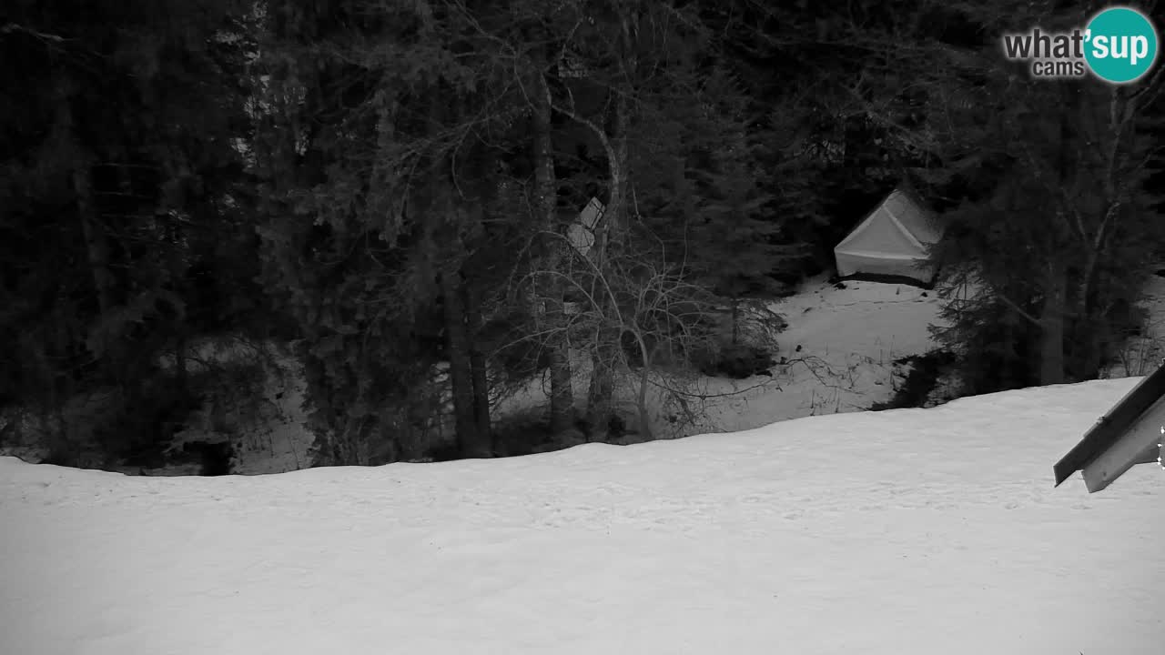 Webcam Lukanja – Water Village | Pohorje Houses