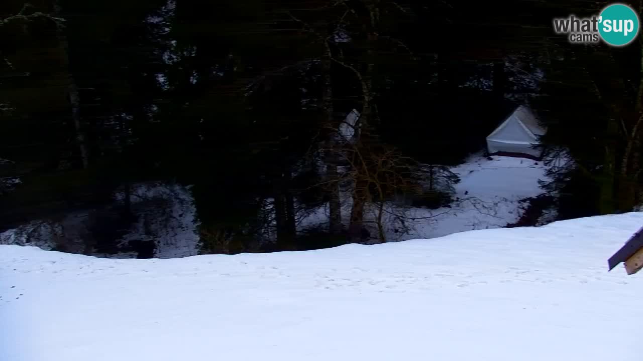 Webcam Lukanja – Water Village | Pohorje Houses