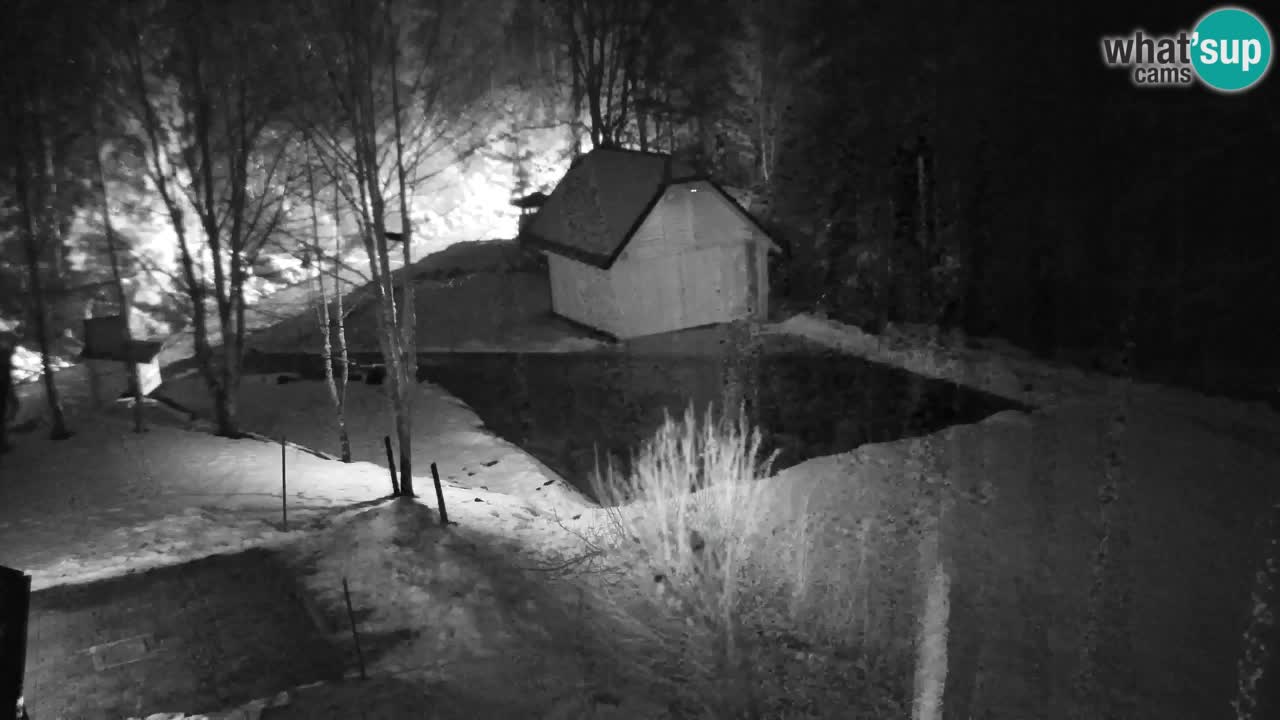 Spletna kamera Lukanja – Water Village | Pohorje Houses