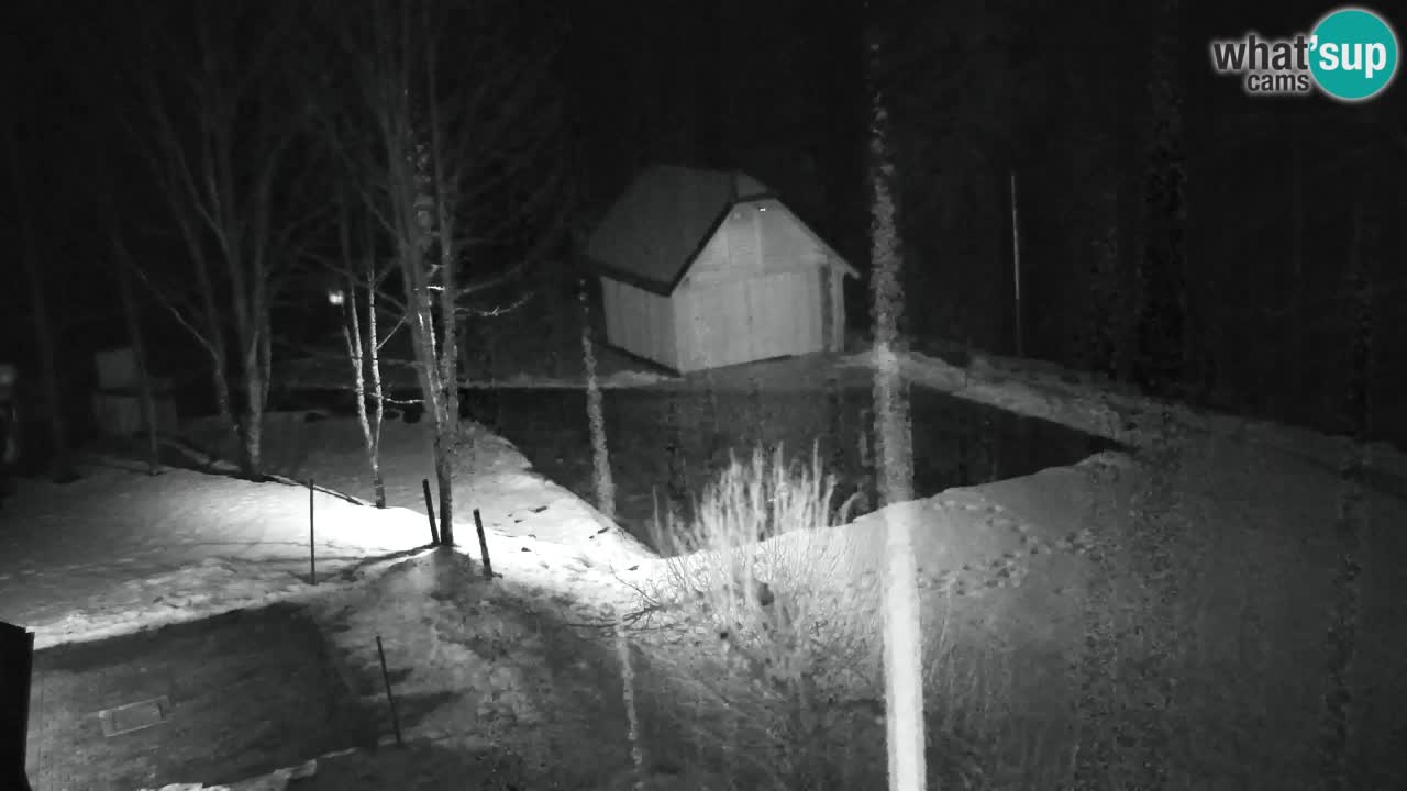 Webcam Lukanja – Pohorje houses a Water village