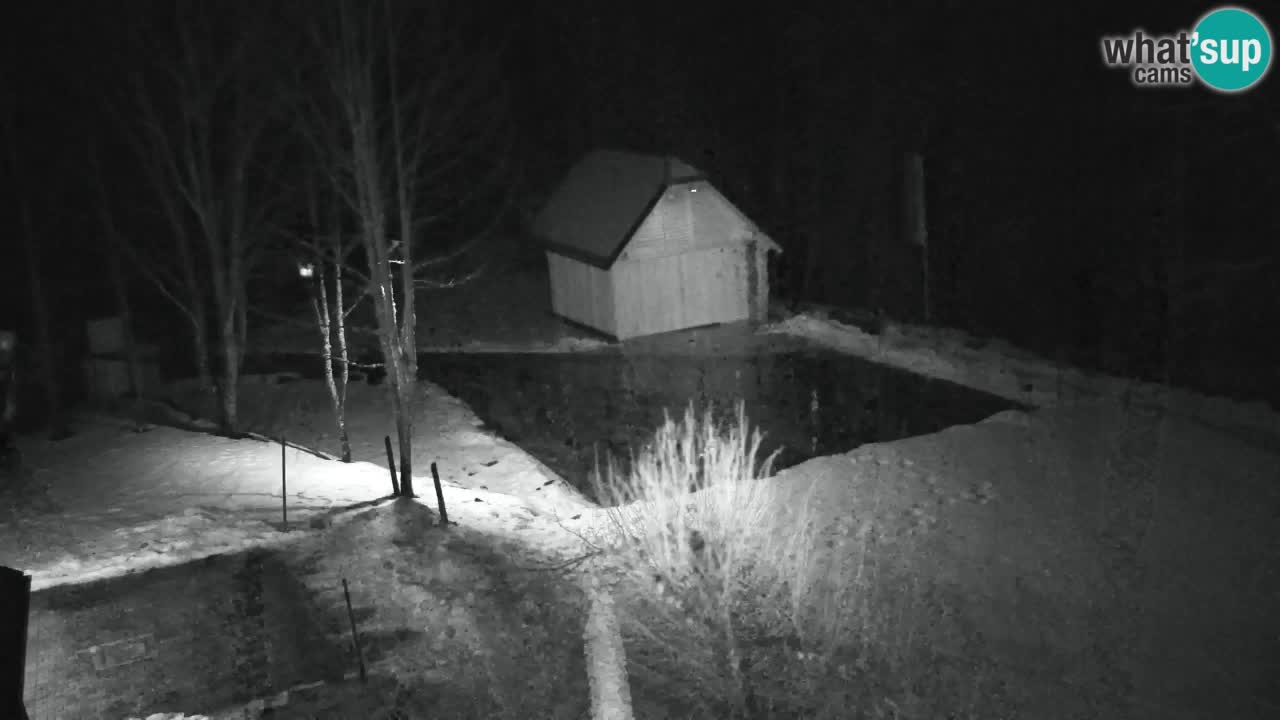 Webcam Lukanja – Pohorje houses a Water village