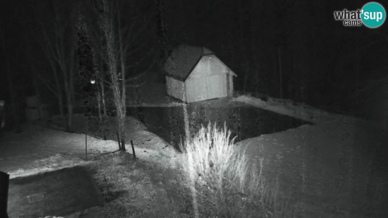 Webcam Lukanja – Pohorje houses a Water village