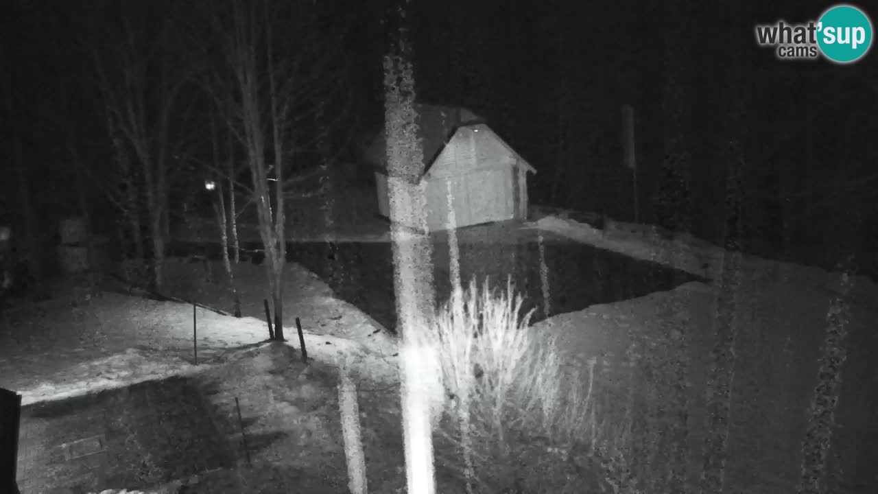 Webcam Lukanja – Water Village | Pohorje Houses