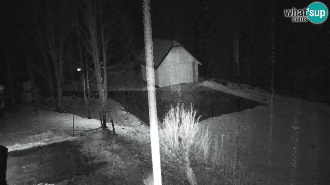 Spletna kamera Lukanja – Water Village | Pohorje Houses