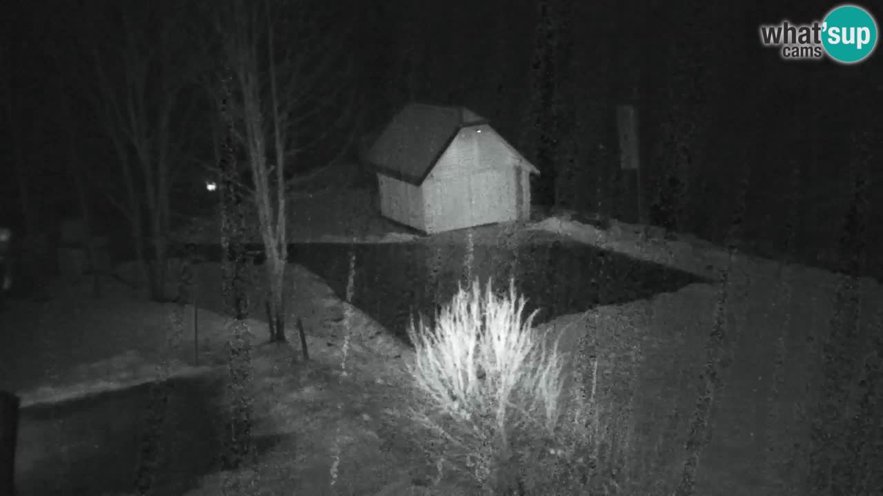 Webcam Lukanja – Water Village | Pohorje Houses