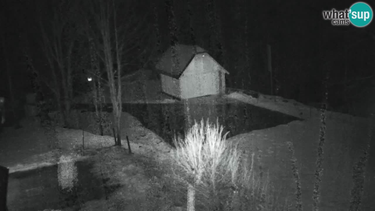 Webcam Lukanja – Water Village | Pohorje Houses