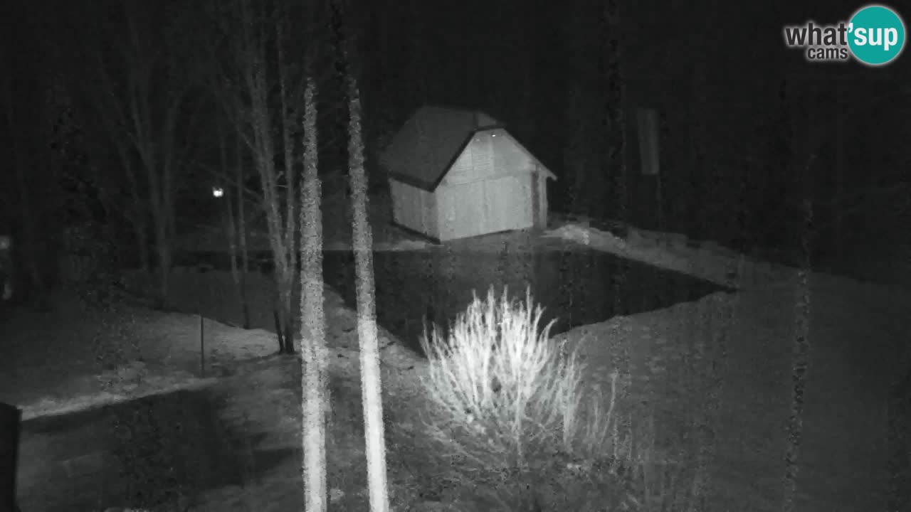 Webcam Lukanja – Pohorje houses a Water village