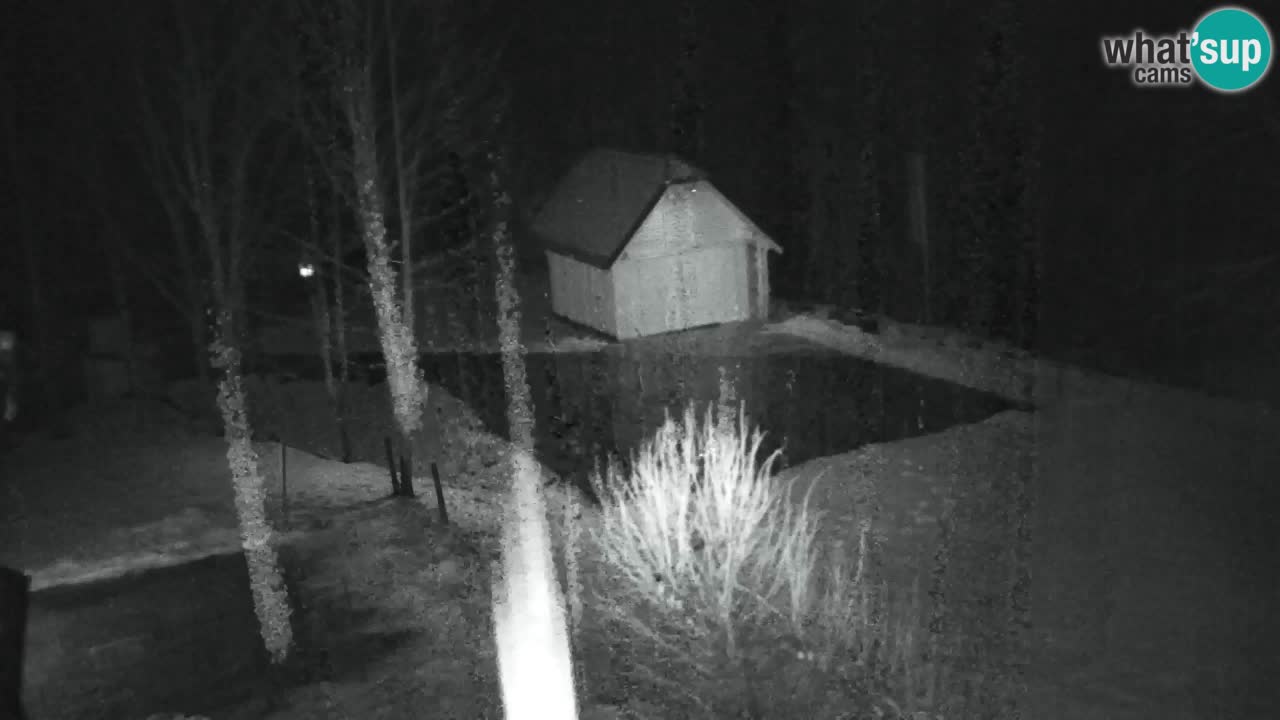 Webcam Lukanja – Water Village | Pohorje Houses