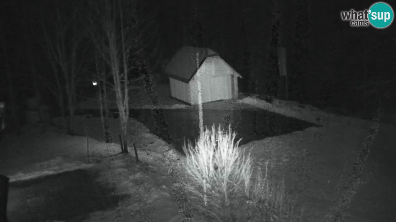 Webcam Lukanja – Water Village | Pohorje Houses