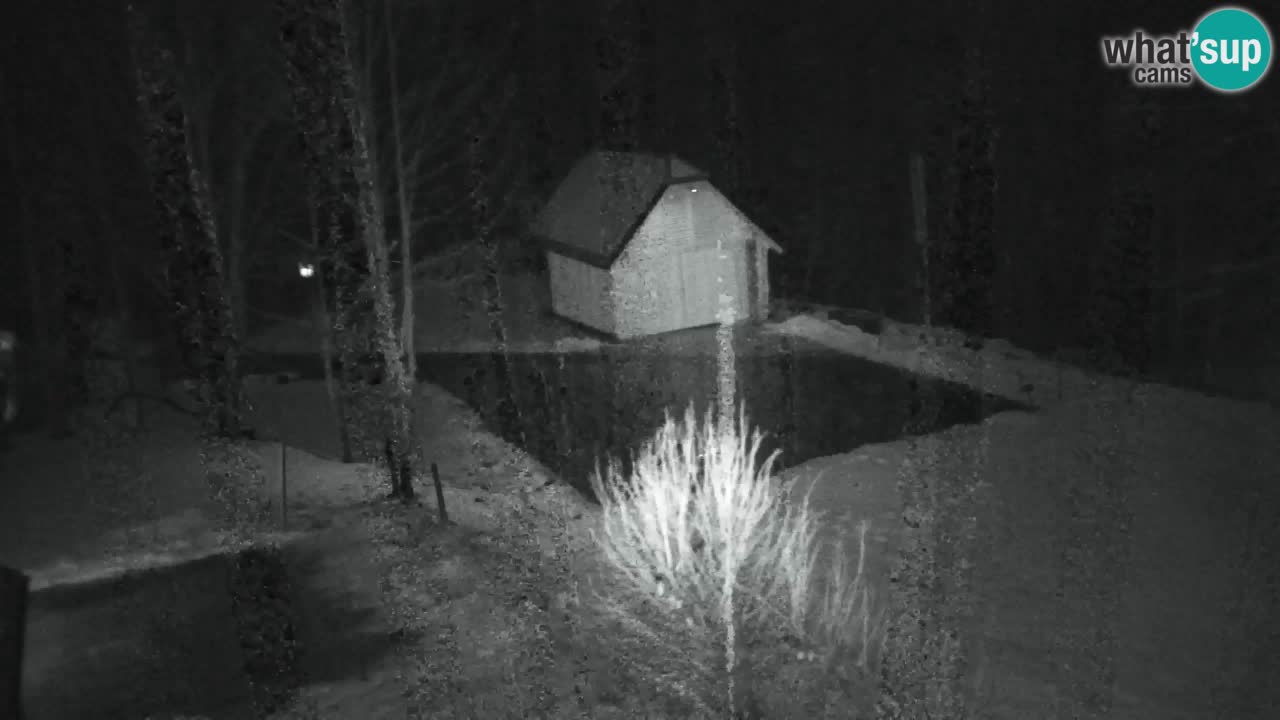 Webcam Lukanja – Pohorje houses a Water village