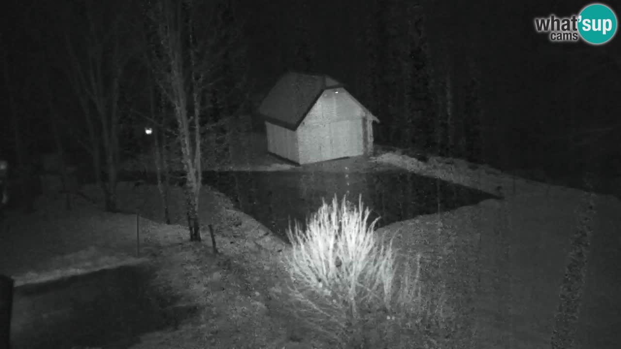 Webcam Lukanja – Pohorje houses a Water village