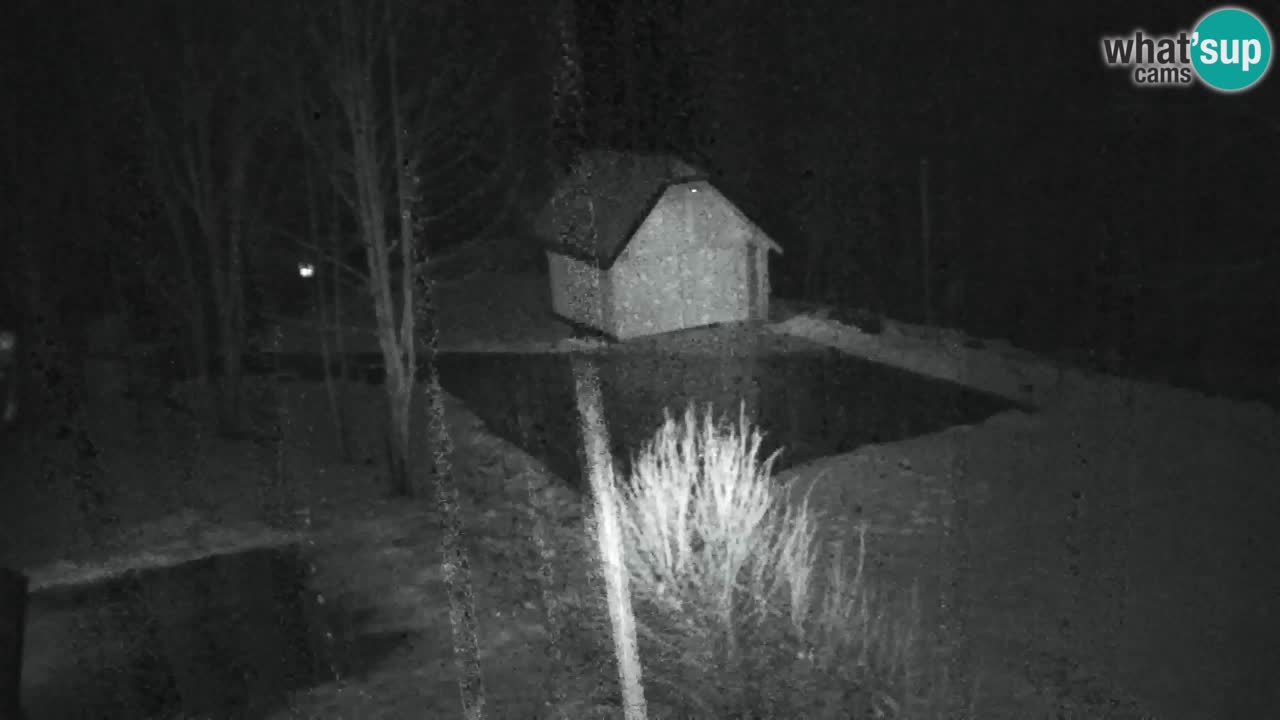 Webcam Lukanja – Pohorje houses a Water village