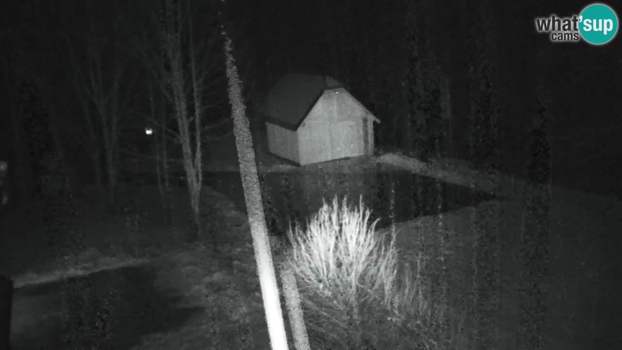 Webcam Lukanja – Water Village | Pohorje Houses