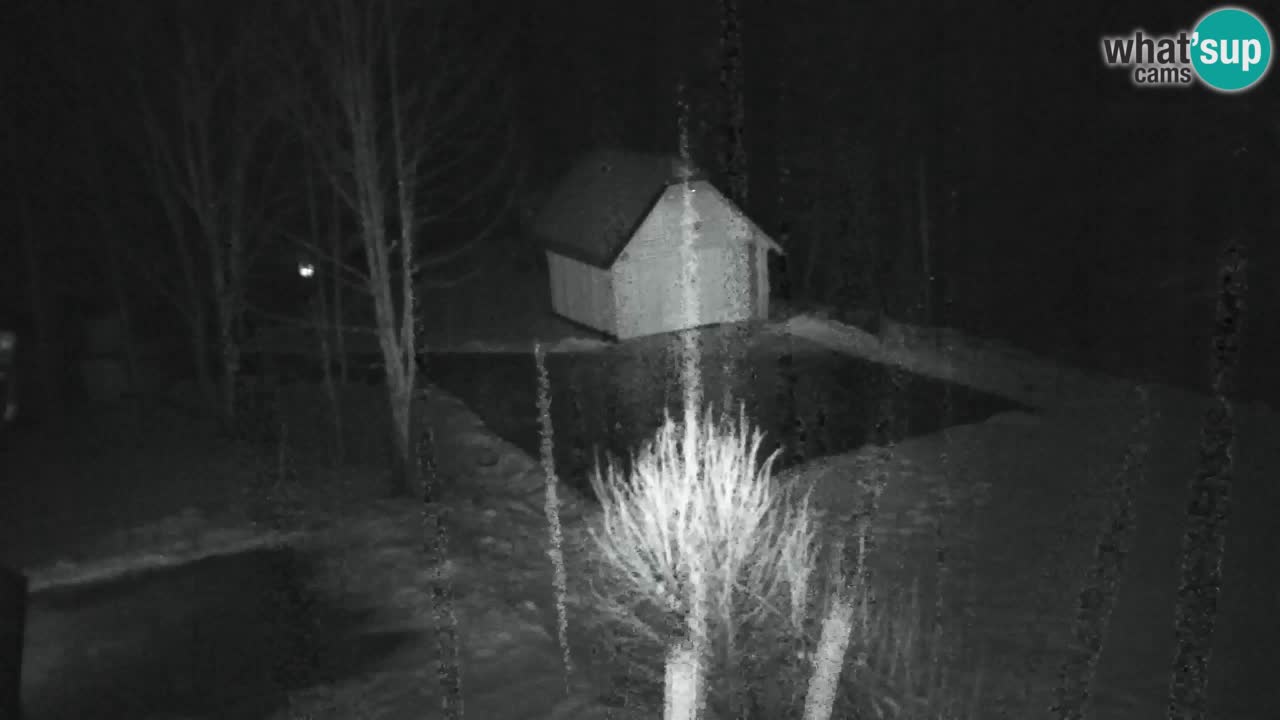 Webcam Lukanja – Water Village | Pohorje Houses