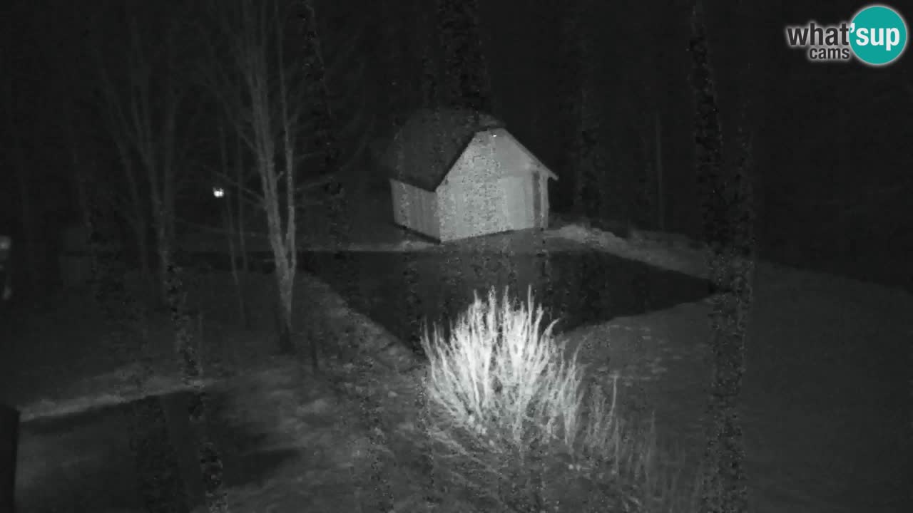 Webcam Lukanja – Pohorje houses a Water village