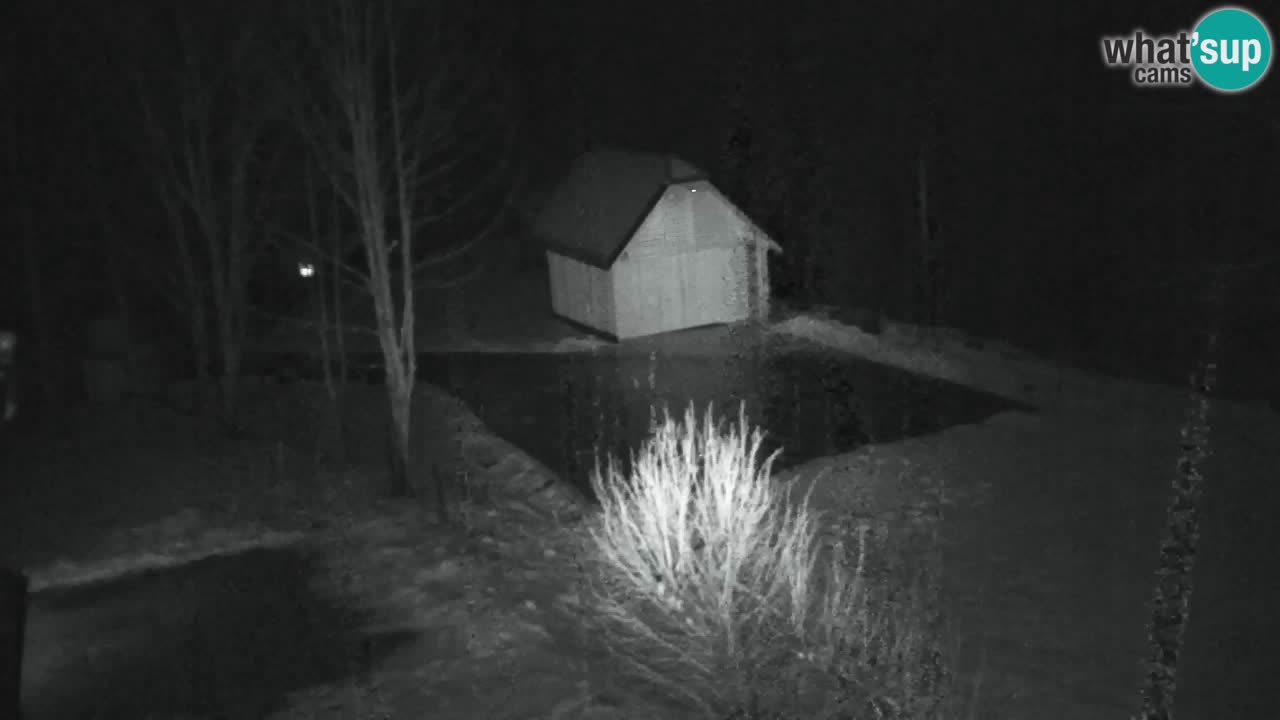 Webcam Lukanja – Water Village | Pohorje Houses