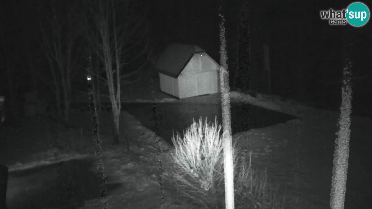 Spletna kamera Lukanja – Water Village | Pohorje Houses