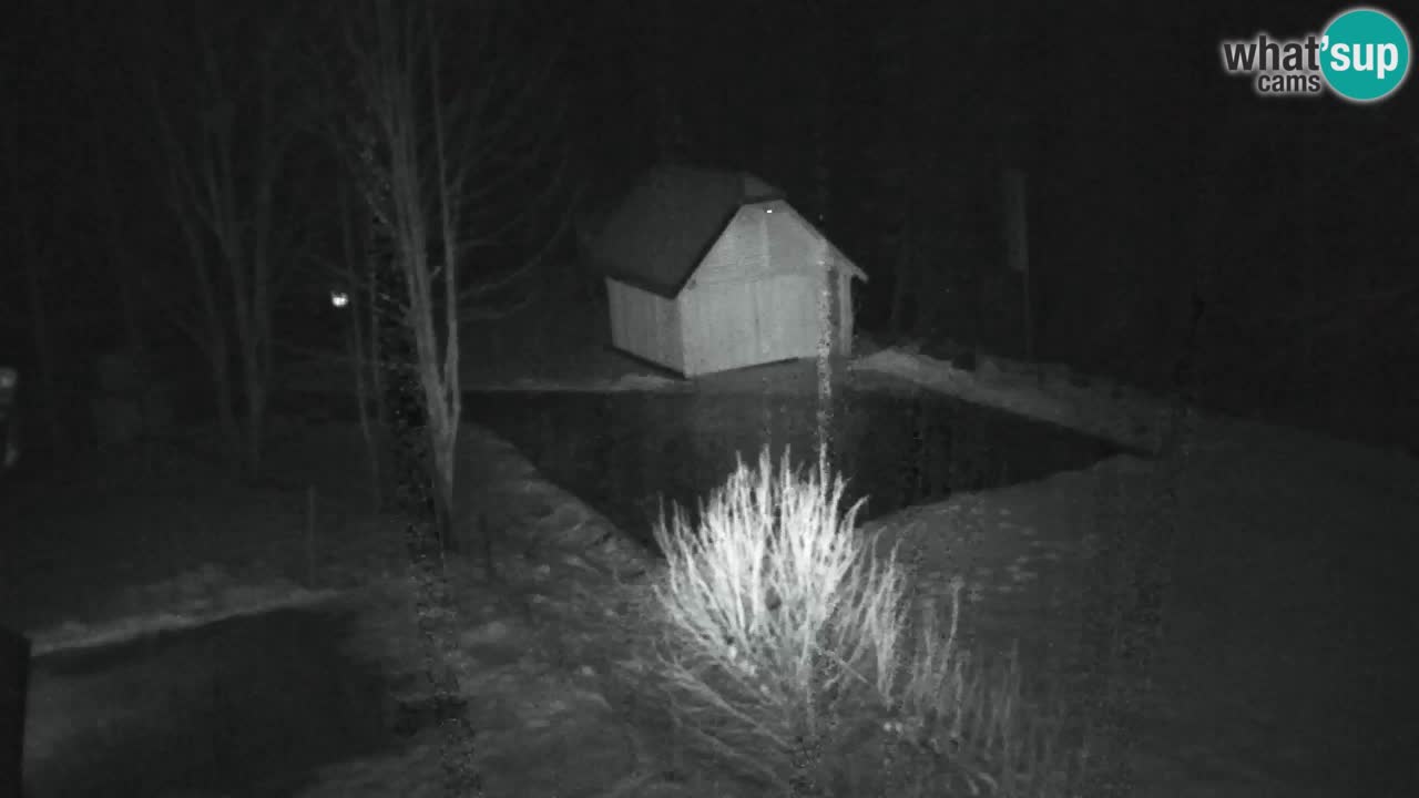 Webcam Lukanja – Water Village | Pohorje Houses