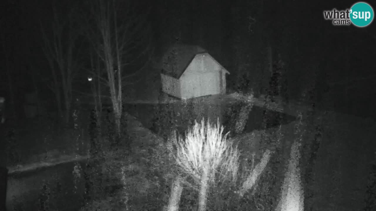 Webcam Lukanja – Water Village | Pohorje Houses