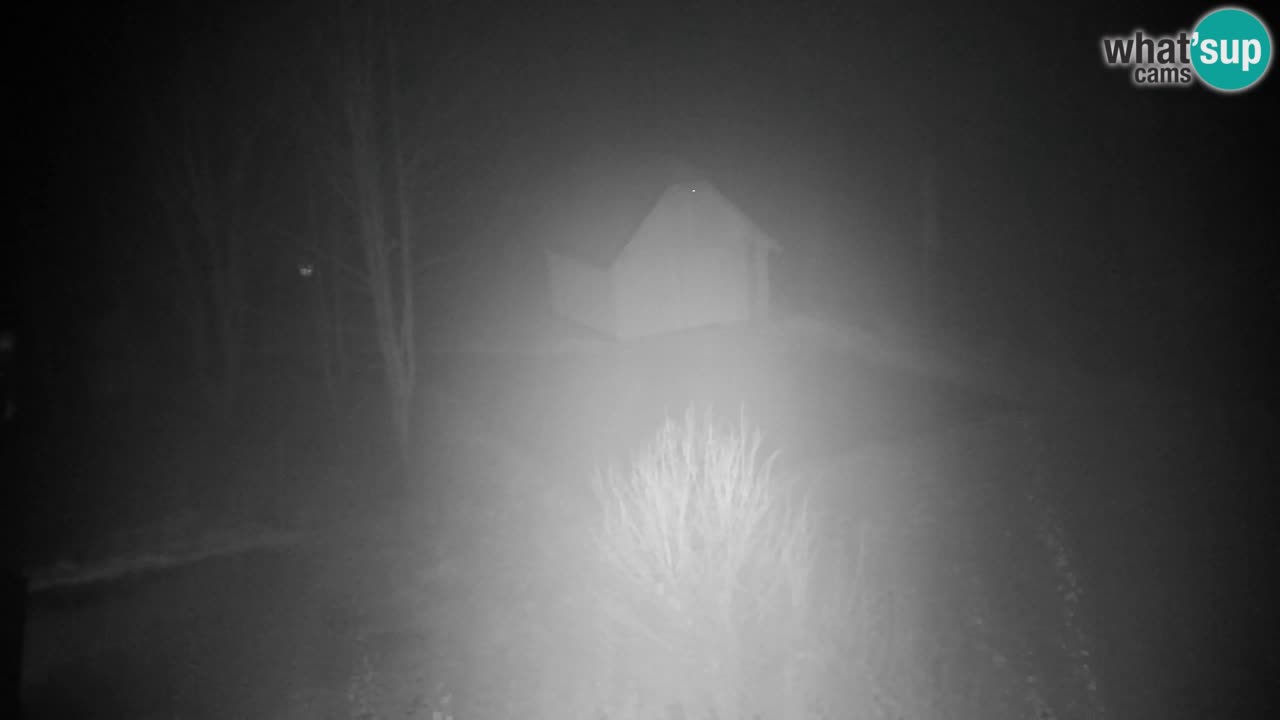 Webcam Lukanja – Water Village | Pohorje Houses