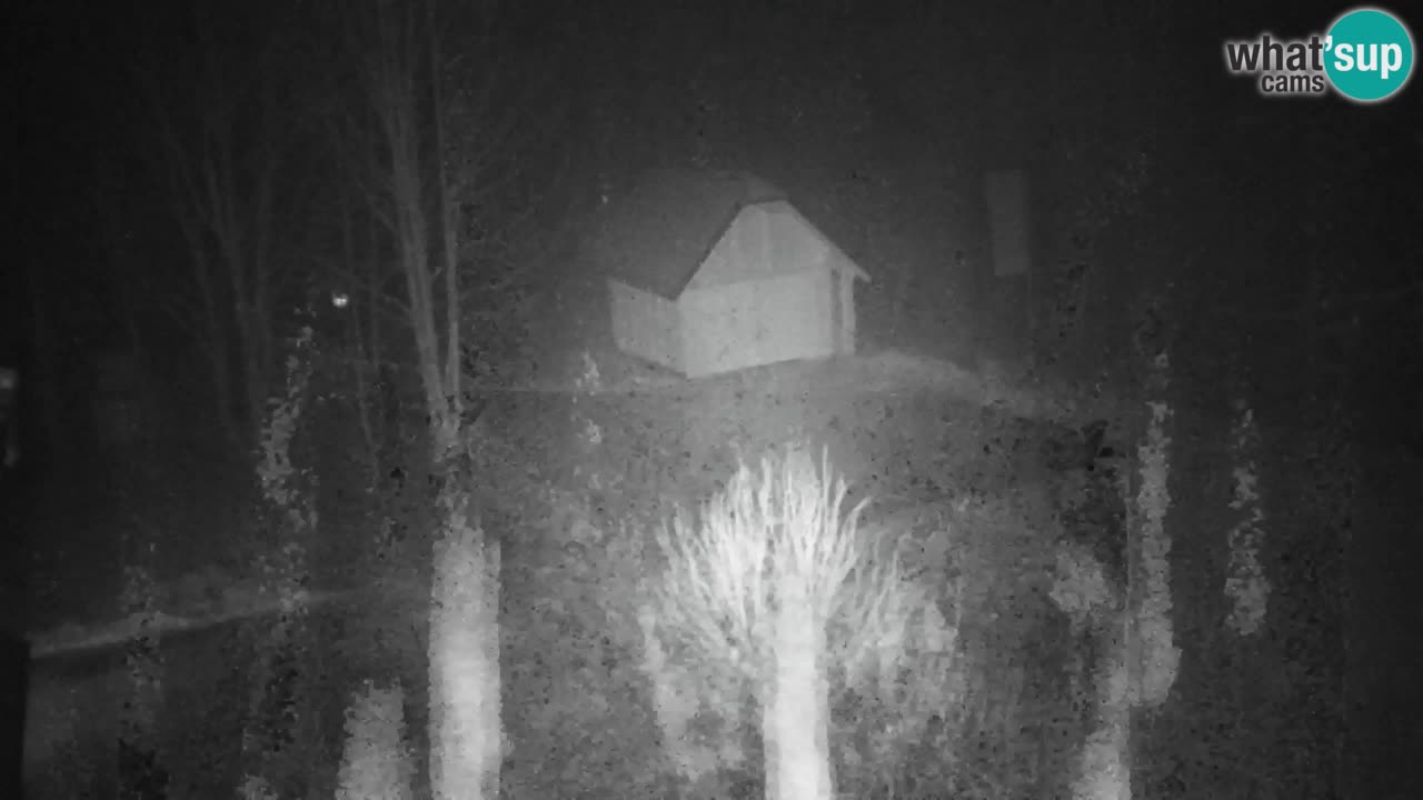 Spletna kamera Lukanja – Water Village | Pohorje Houses