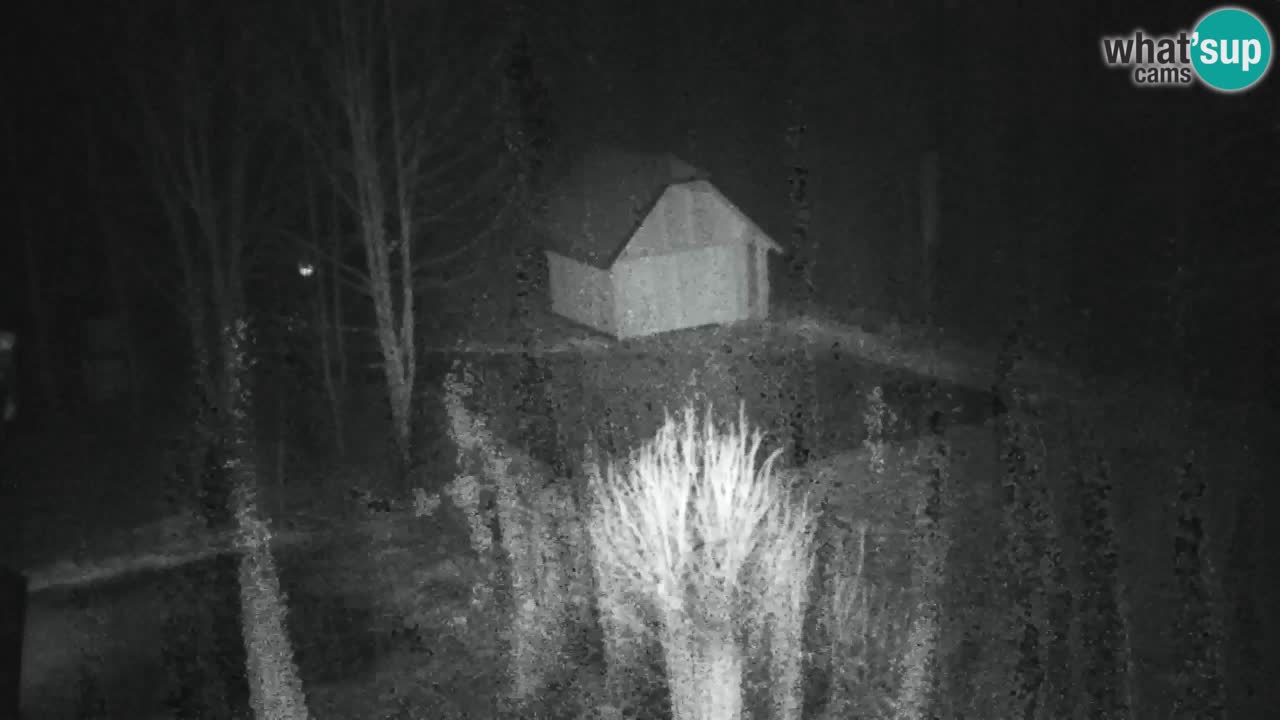 Webcam Lukanja – Pohorje houses a Water village