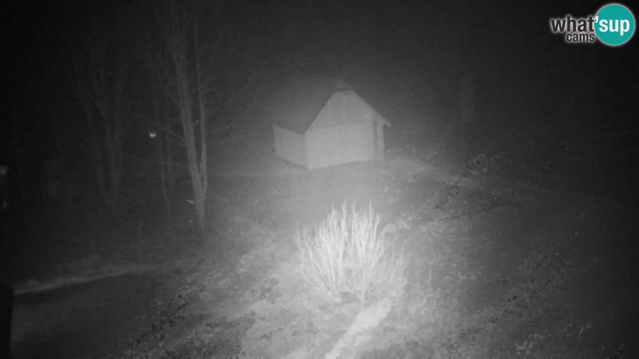 Webcam Lukanja – Pohorje houses a Water village