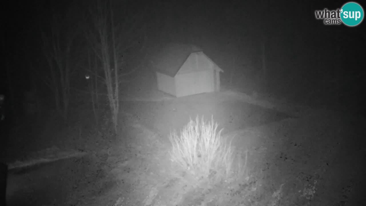 Webcam Lukanja – Water Village | Pohorje Houses