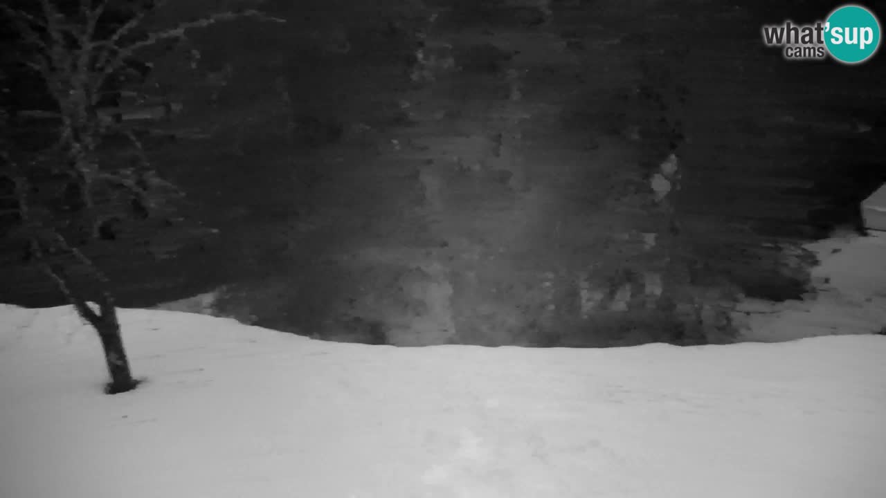 Webcam Lukanja – Water Village | Pohorje Houses