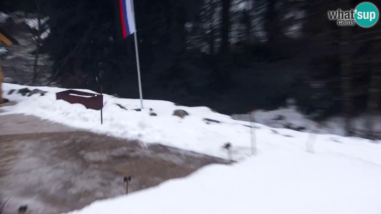 Webcam Lukanja – Water Village | Pohorje Houses