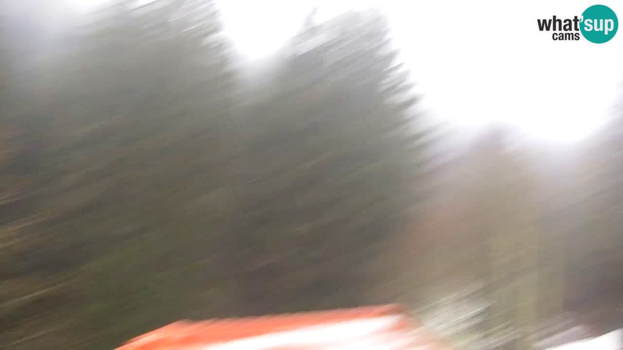 Web kamera Lukanja – Water Village | Pohorje Houses