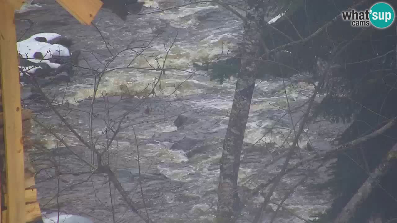 Spletna kamera Lukanja – Water Village | Pohorje Houses