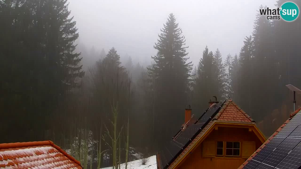 Webcam Lukanja – Water Village | Pohorje Houses