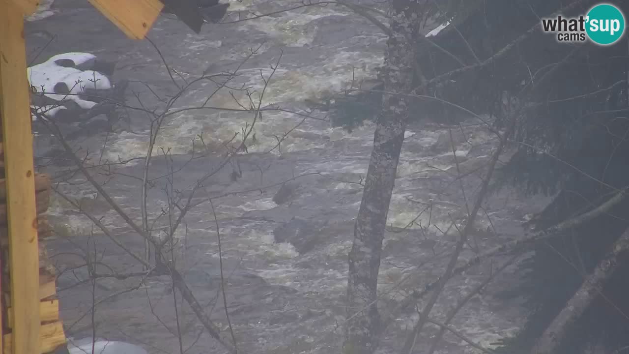 Spletna kamera Lukanja – Water Village | Pohorje Houses