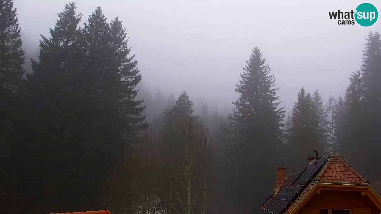 Web kamera Lukanja – Water Village | Pohorje Houses