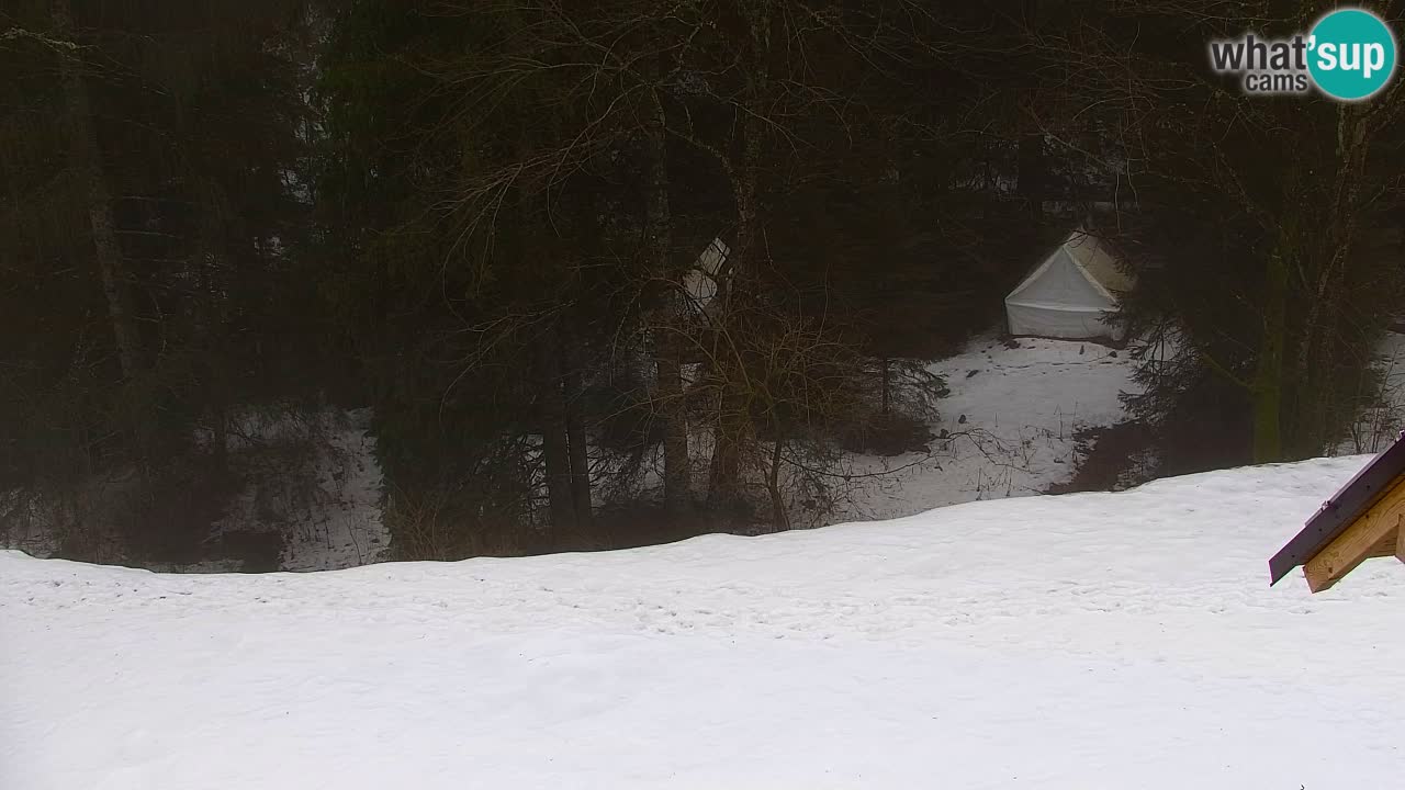 Webcam Lukanja – Water Village | Pohorje Houses