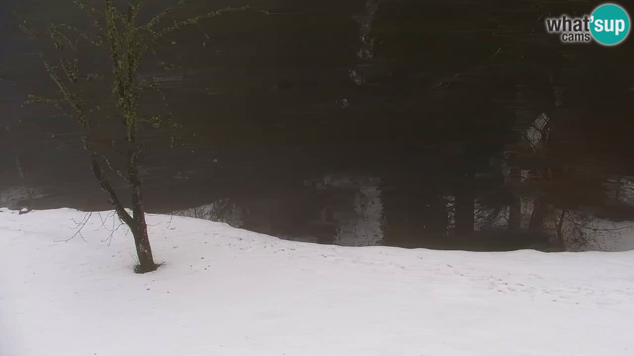 Webcam Lukanja – Water Village | Pohorje Houses