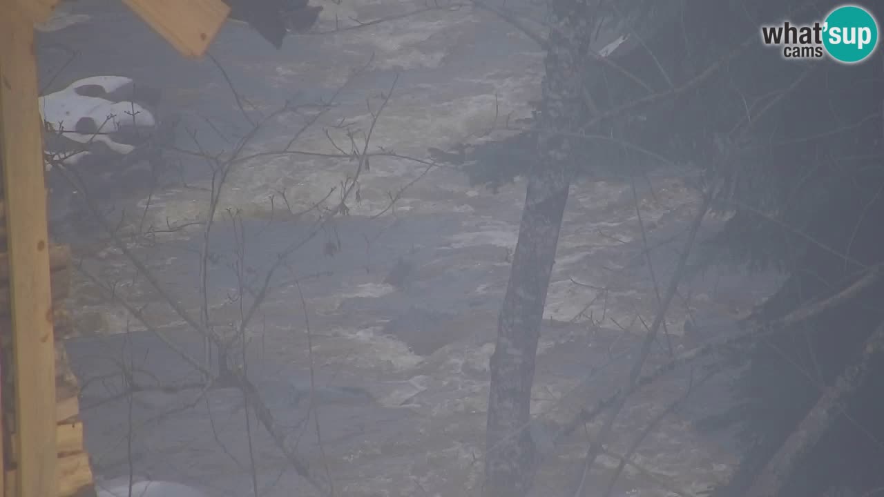 Web kamera Lukanja – Water Village | Pohorje Houses