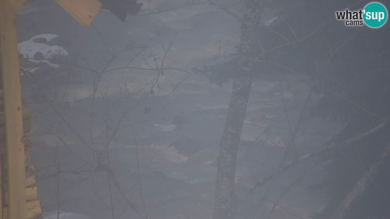 Webcam Lukanja – Pohorje houses a Water village