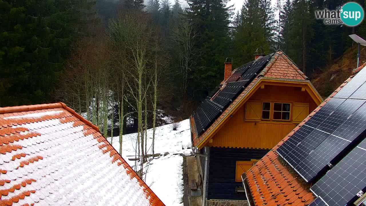 Web kamera Lukanja – Water Village | Pohorje Houses
