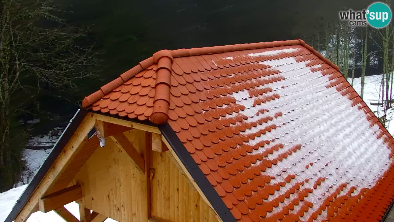 Web kamera Lukanja – Water Village | Pohorje Houses